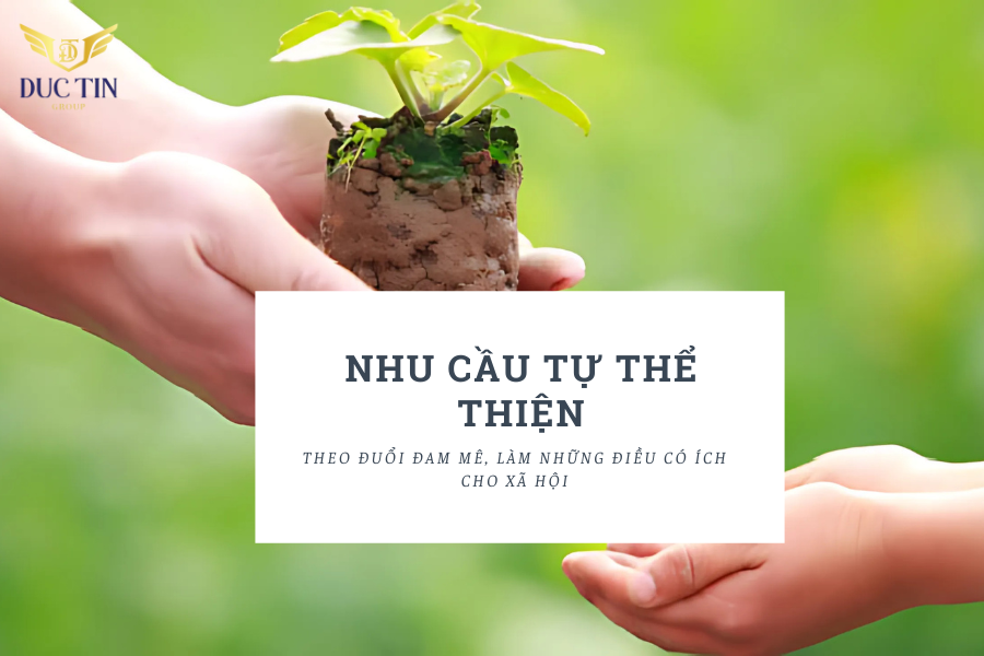 Nhu cầu tự thể hiện trong tháp Maslow